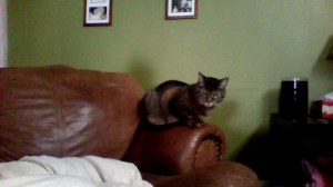 And there's lots of him to snuggle.