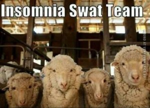 funny-pics-insomnia-swat-team