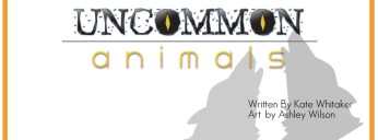 Facebook Banner